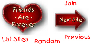Friends Are Forever