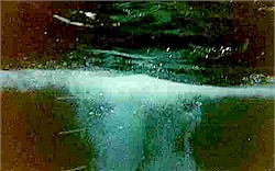 ... and a mass of bubbles as the diver enters...