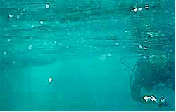 Finning on the surface