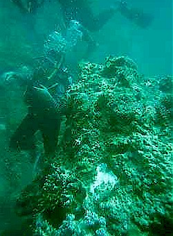 Making one's way around the underwater terrain