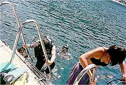 Climbing out of the water...