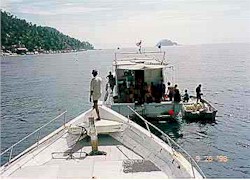 Dive boat being unloaded