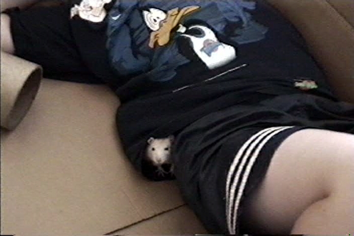 Peeking out from Markie's shirt!