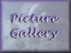 Picture Gallery