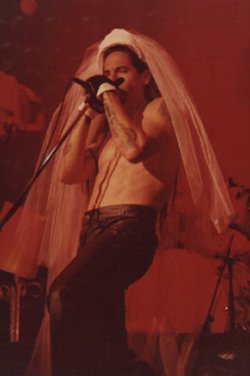 anthony in a wedding veil