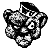 WashU Bear