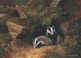 Send an Animal Magic greeting card