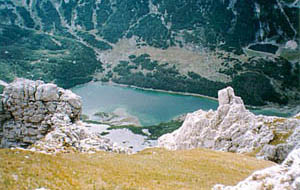 skskojez.jpg (24677 bytes)