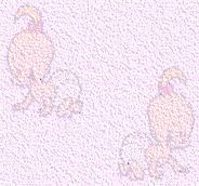 Click to see the full view of baby2.gif