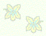 Click to see the full view of flower10.gif