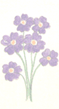 Click to see the full view of flowers3.gif