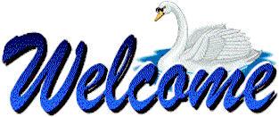 welcome banner
