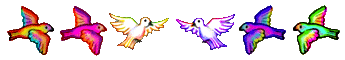 Colorful birds