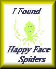 I Found the Happy Face Spiders