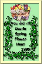 Castle Spring Flower Hunt 1999