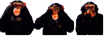 critter14