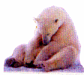 critter2
