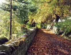 Bank walk in Donegal town