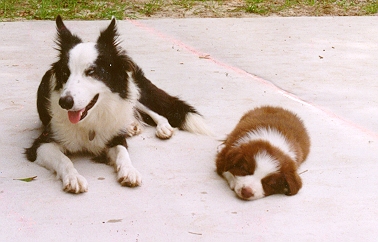 wit her puppie, brenna (well, betty now)