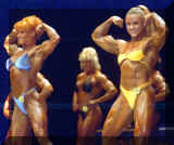 angela04.jpg (102509 bytes)