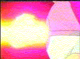 Pokemon! Return!