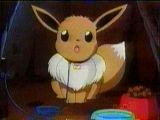 Poor Eevee... He wants to be a Jolteon (which is by far the best Eevee evolution.)