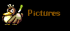 Tons of pictures! Hope you have a fast modem!