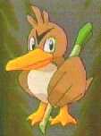 Mmmmmmm... Duck soup!
