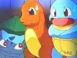 Why does Squirtle look weird? (click me for more pictures)