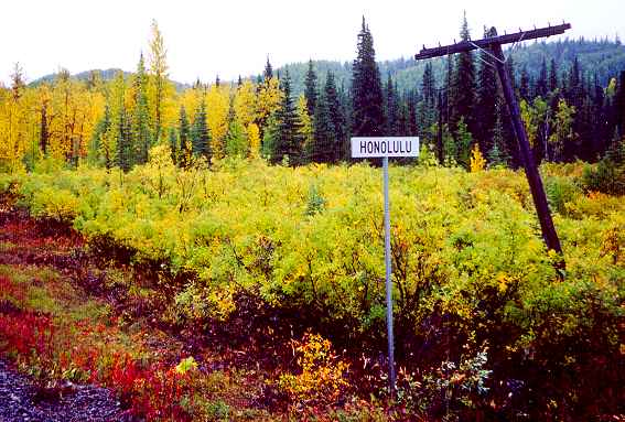 Honolulu, Alaska
