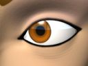 thm_chr_eyecloseup_brown.jpg