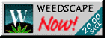 Download Netscape now