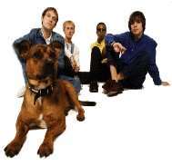 OCS with dog