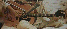 John's Natural J160E