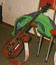 Unknown Vox
