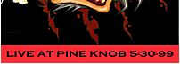 Live at Pine Knob '99