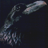 Eric Woolfson's Poe