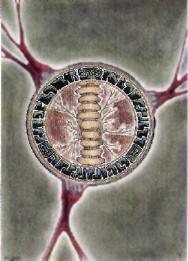 Logotipo de la banda. Presiona para entrar