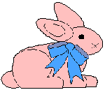 Pink Bunny