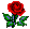 Red Rose