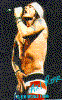 019.gif (25480 bytes)