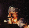 033.jpg (30544 bytes)
