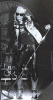 072.jpg (17939 bytes)