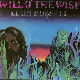 Will O' The Wisp cover