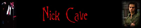 Nick Cave Banner