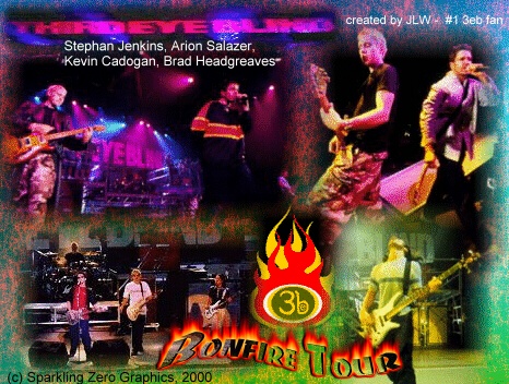 My Bonfire Tour Memory Collage