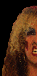 Dee Snider