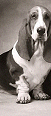 cmated13s1.gif (6156 bytes)