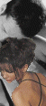 cmated1s2.gif (5576 bytes)