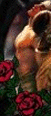 cmated22s1.gif (7284 bytes)